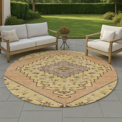 Tapis intérieur / extérieur lavable à la machine Chantille ACN2472 Global