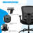Inbox Zero Burgeo Mesh Task Chair