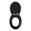 Raymonde Elongated Standard Toilet Seat