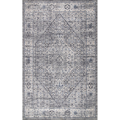 Barajas Oriental Gray Area Rug