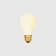 Globe 2000-3000K E26 Matte LED Bulb