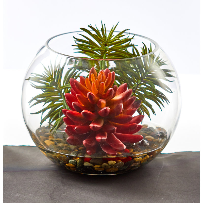 Succulent à plante artificielle en terrarium
