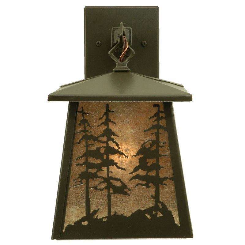 Rustic Lodge 1 - Light Outdoor Wall Lantern, Timeless Bronze