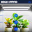 Naomi Grow Light