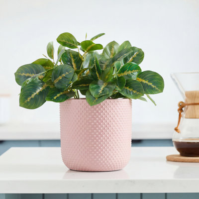 Pot cylindrique à pois (sans soucoupe), pot moyen en céramique émaillée (lot de 2) - Intérieur/Extérieur