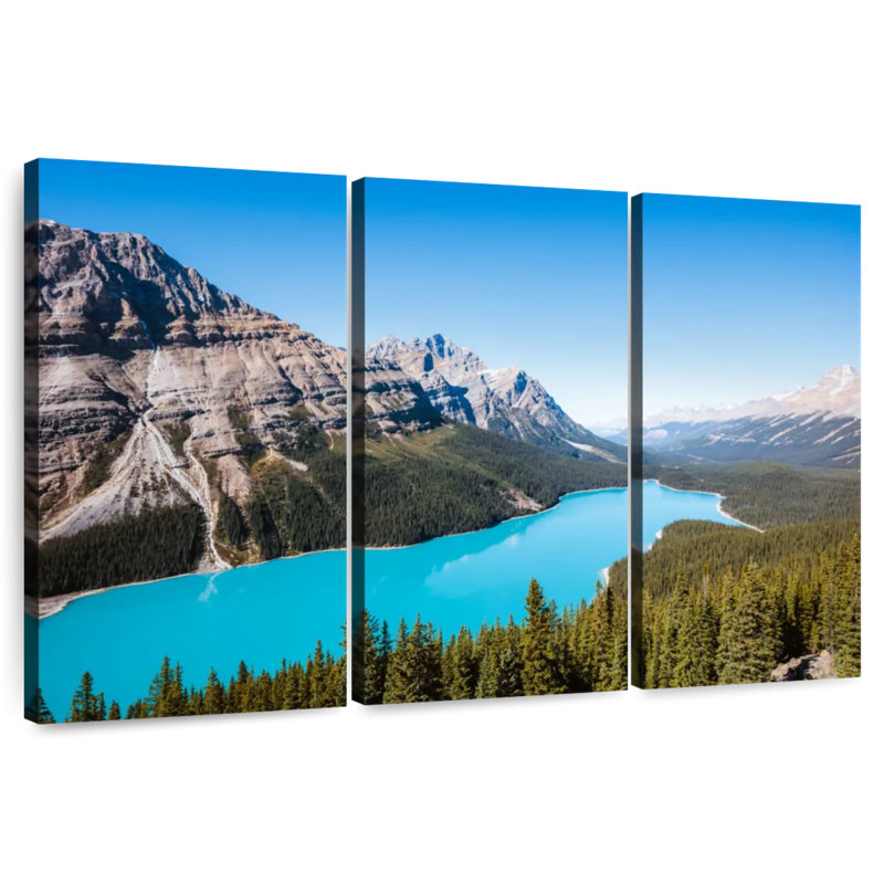 Alamar, aigue-marine, lac Peyto, H 28 po x l 45 po