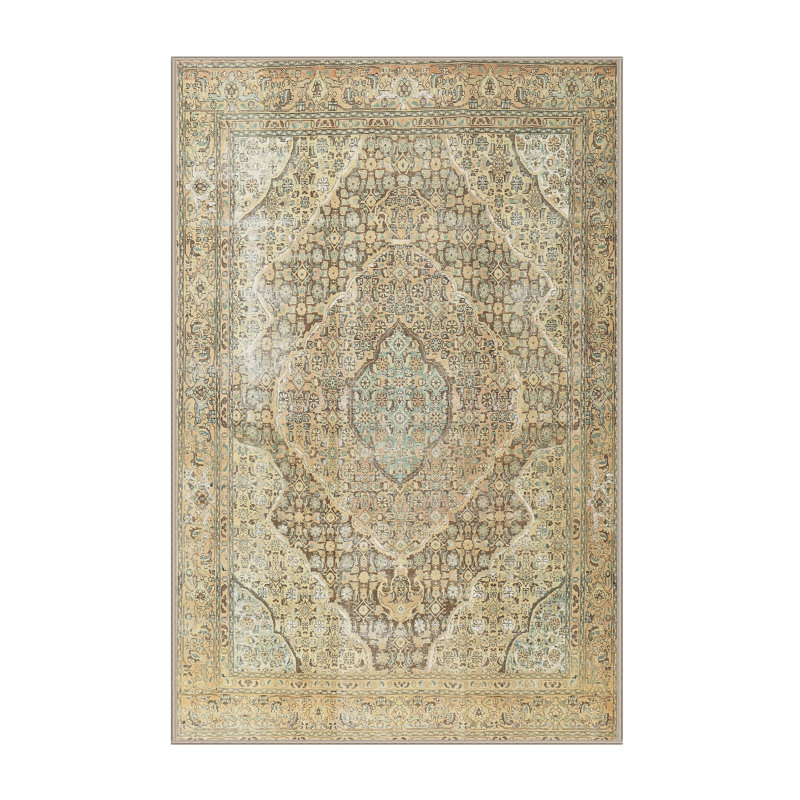 Juillac Oriental Indoor Rug, Rectangle 5' x 7'