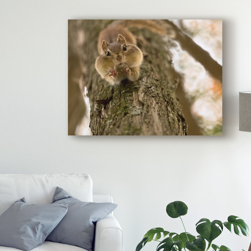 «Squirrel Portrait» par Lucie Gagne, reproduction de photo sur toile tendue, H 24 po x l 32 po x P 2 po