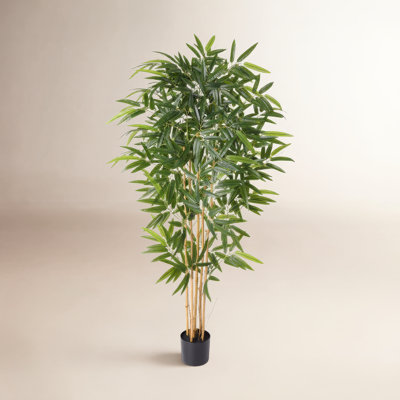 Bamboo Tree in Pot