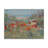 Fluellen Coastal-29224701