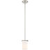 Zipcode Design™ Delvin 1 - Light Pendant & Reviews | Wayfair