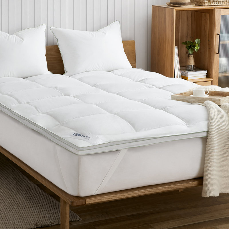 RE-Duce Recycled 100% Hungarian Goose Downtop Featherbed, Queen