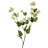 Hops Spray X 15 39" 