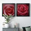 Wild Wild - 2 pièces encadrées sur toile-314267091-314267092