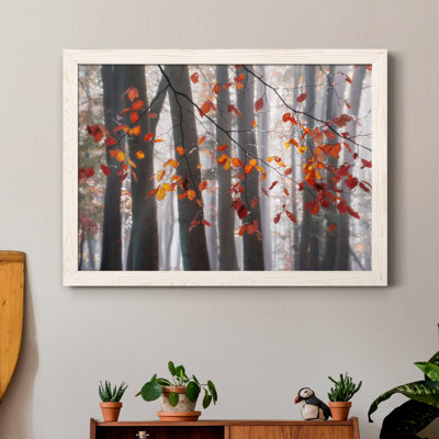 " Falling Moments "
