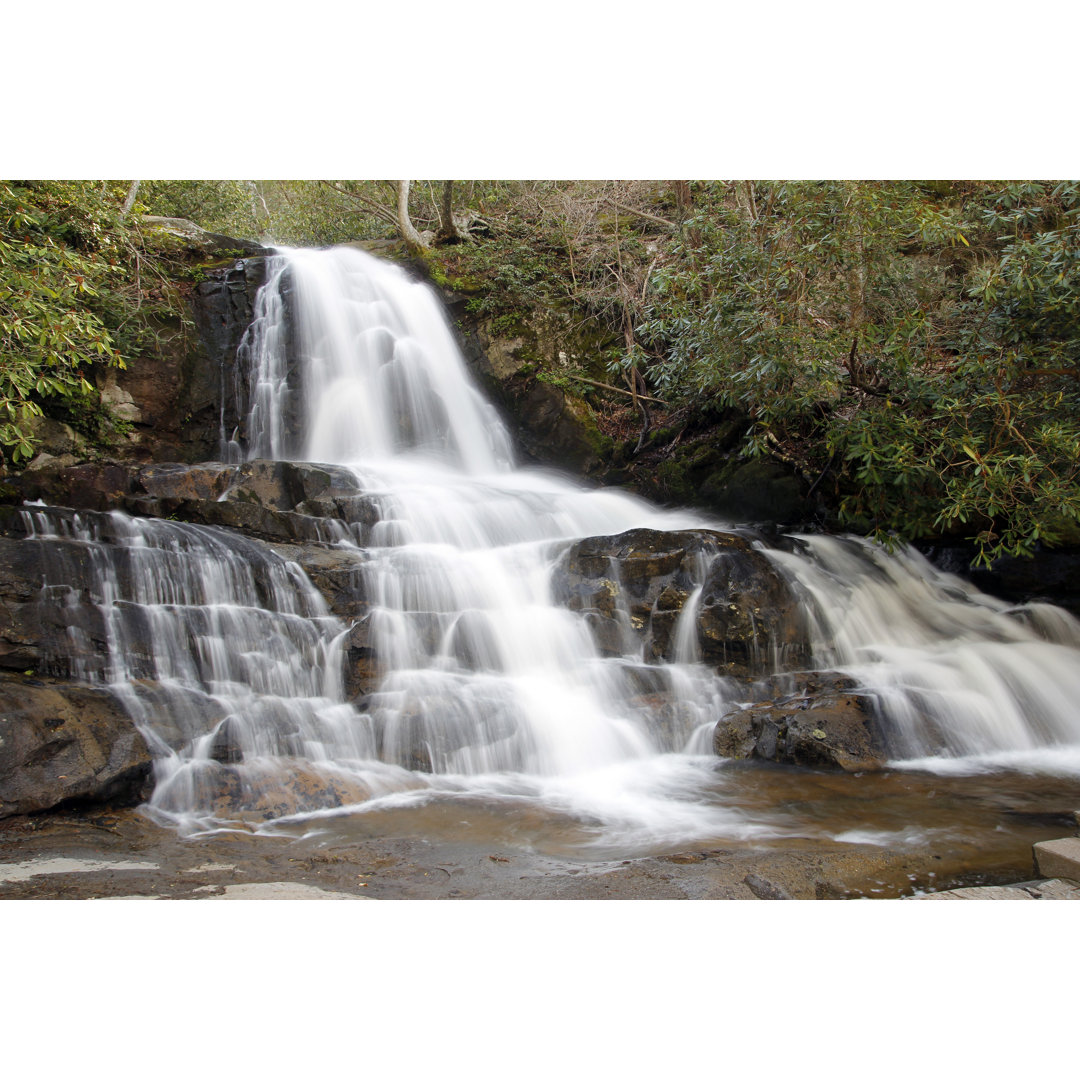 Laurel Falls von Bambig - Kunstdrucke auf Leinwand