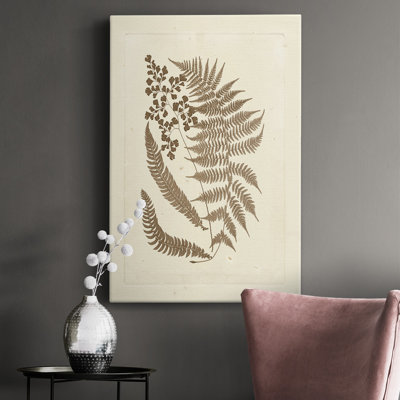Sepia Ferns III " Sepia Ferns III " Painting Print