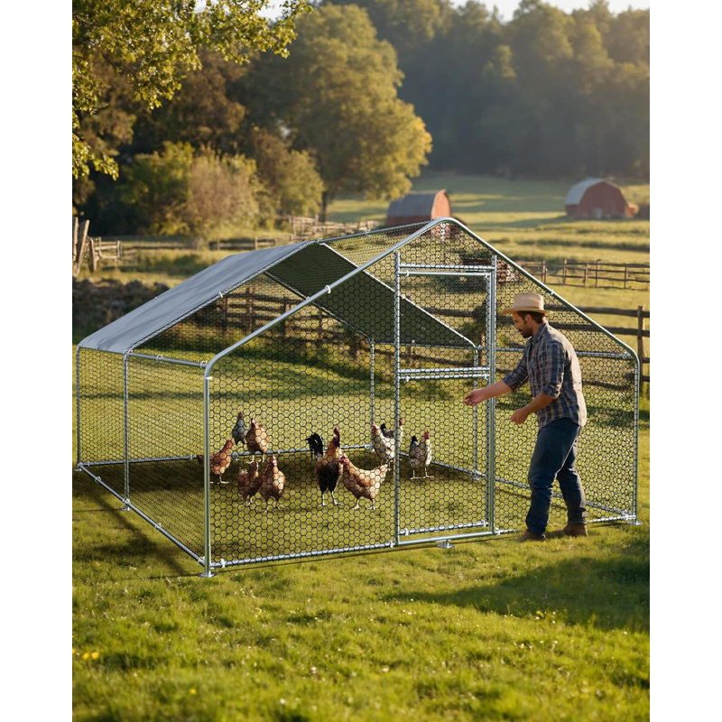 Chicken Coop, 199.9cm H x 299.7cm W x 398.8cm D