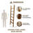 Lemi 6-Tier Solid Wood Blanket Ladder Shelf-38628888
