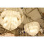 Lustre en cristal de roche rose clair-90683336-90683341-130744980