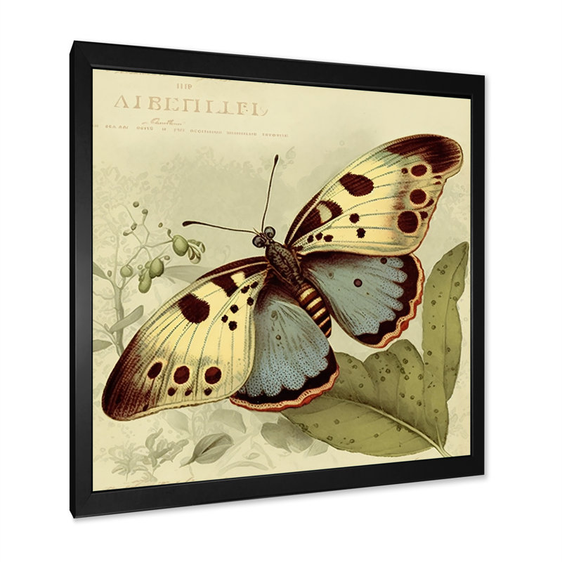 «Arisa Vintage Illustration Of Butterfly III», reproduction sur toile, H 36 po x l 36 po x P 1,5 po