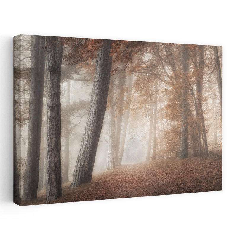 On A Morning In Fall Peaceful Serene Tranquil Autumn Forest, art mural, H 40 po x l 60 po