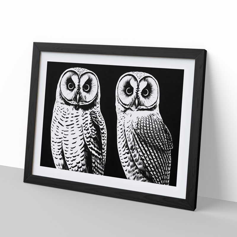 Owls - Single Picture Frame Print, Black Framed, 34cm H x 46cm W