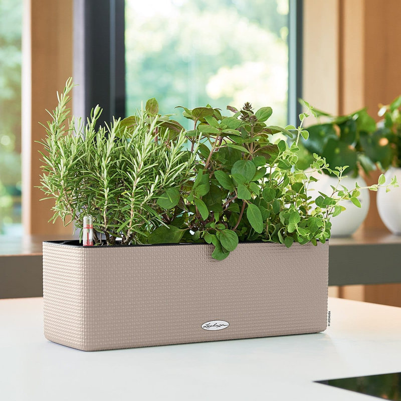 Ensemble de 3 pots à fleurs en plastique avec indicateur de niveau d'eau Cube Color Triple