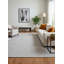 Puja Hand Loomed Area Rug in Light Gray-7881863