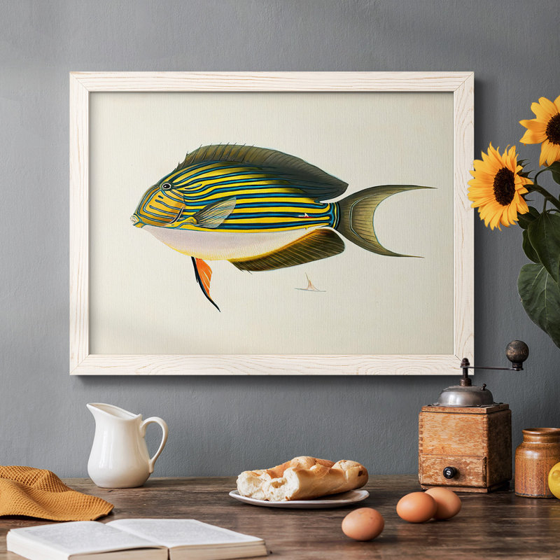 «Tropical Fish Collection I», reproduction sur toile, Blanc, H 28 po x l 42 po