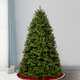 Newberry Spruce Artificial Spruce Christmas Tree