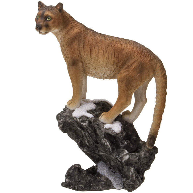 Cougar Postville