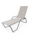 Outdoor Rust-Resistant Metal Chaise Lounge-19510309-48935047