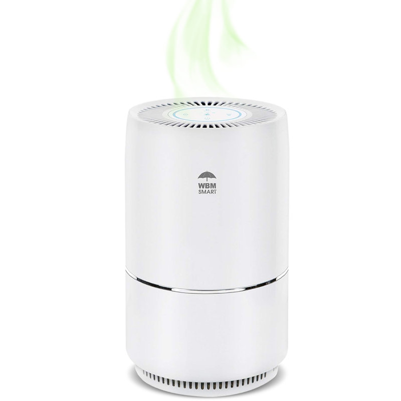Purificateur d'air intelligent WBM avec véritable filtre HEPA pour 1440 pieds cubes, filtration en 3 étapes
