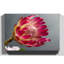 Pink Protea Photographic - Wrapped Canvas-19041185