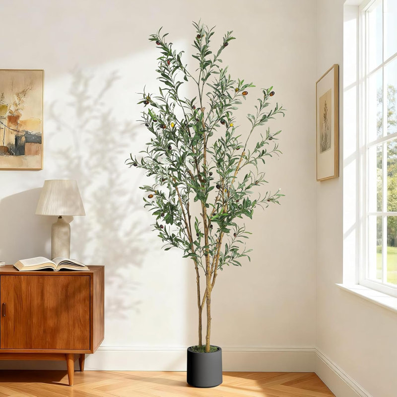 Olive artificielle d'intérieur, 6 pi de haut olivier avec jardinière noire et fausse mousse verte, plantes artificielles avec tronc de bois naturel et fruits réalistes pour la décoration de bureau personnel
