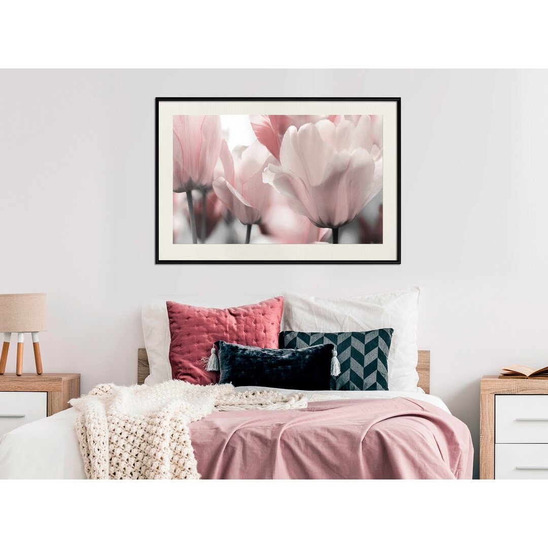 Gerahmtes Poster Pastel Tulips II