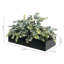 Pot d'eucalyptus artificiel noir