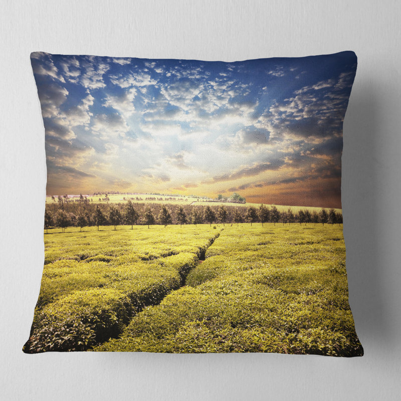 Coussin Tea Plantation Under Cloudy Sky, 18 po x 18 po, Carré