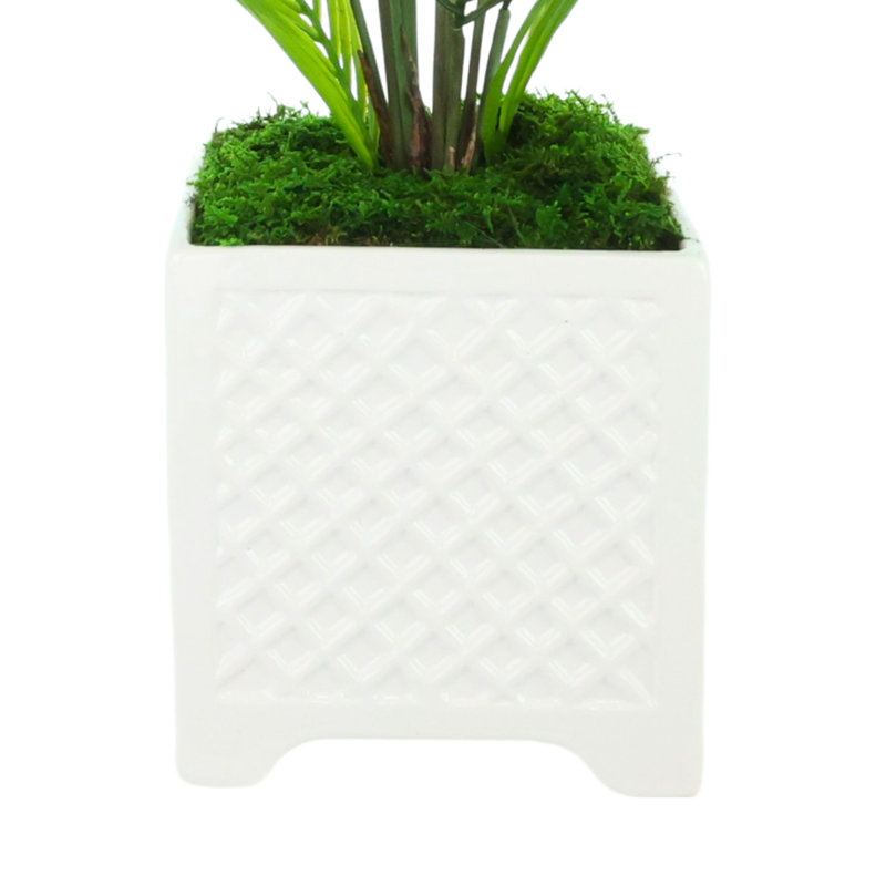 Akeyah Faux Palm Plant in Fiberstone Pot
