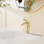 Robinet de lavabo à poignée simple en or brossé-117992813