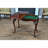 French Niagara 38'' L Game Set