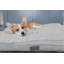 Lit pour chien Tweed-56468029-56468028