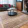 Digit Striped Shag Area Rug