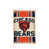 Bears de Chicago