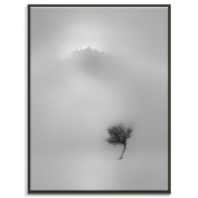Print on Canvas