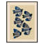 Imprimé indigo par ville-129130761-129130744-129130809