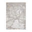 Apollo area rug Machine Woven Rectangle Grey-100511915