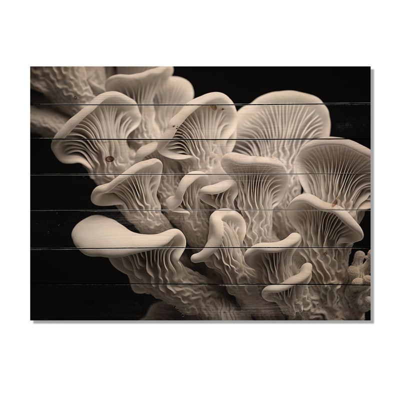 Anémone noir et blanc - corail sous l'eau, art mural sur bois de pin naturel, H 10 po x l 20 po
