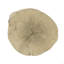Natural Brown Finish Fibre Concrete Accent Table